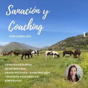 Sanación y Coaching con caballos