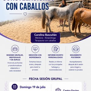 Sanación y Coaching con caballos grupal Mantagua