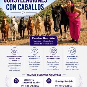 Sanación y Coaching con caballos grupal Chicureo